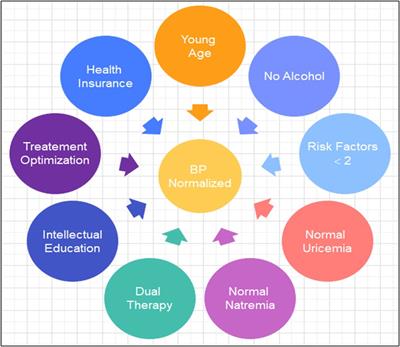 Predicting factors of blood pressure normalization in hypertensive patients after short-term follow-up